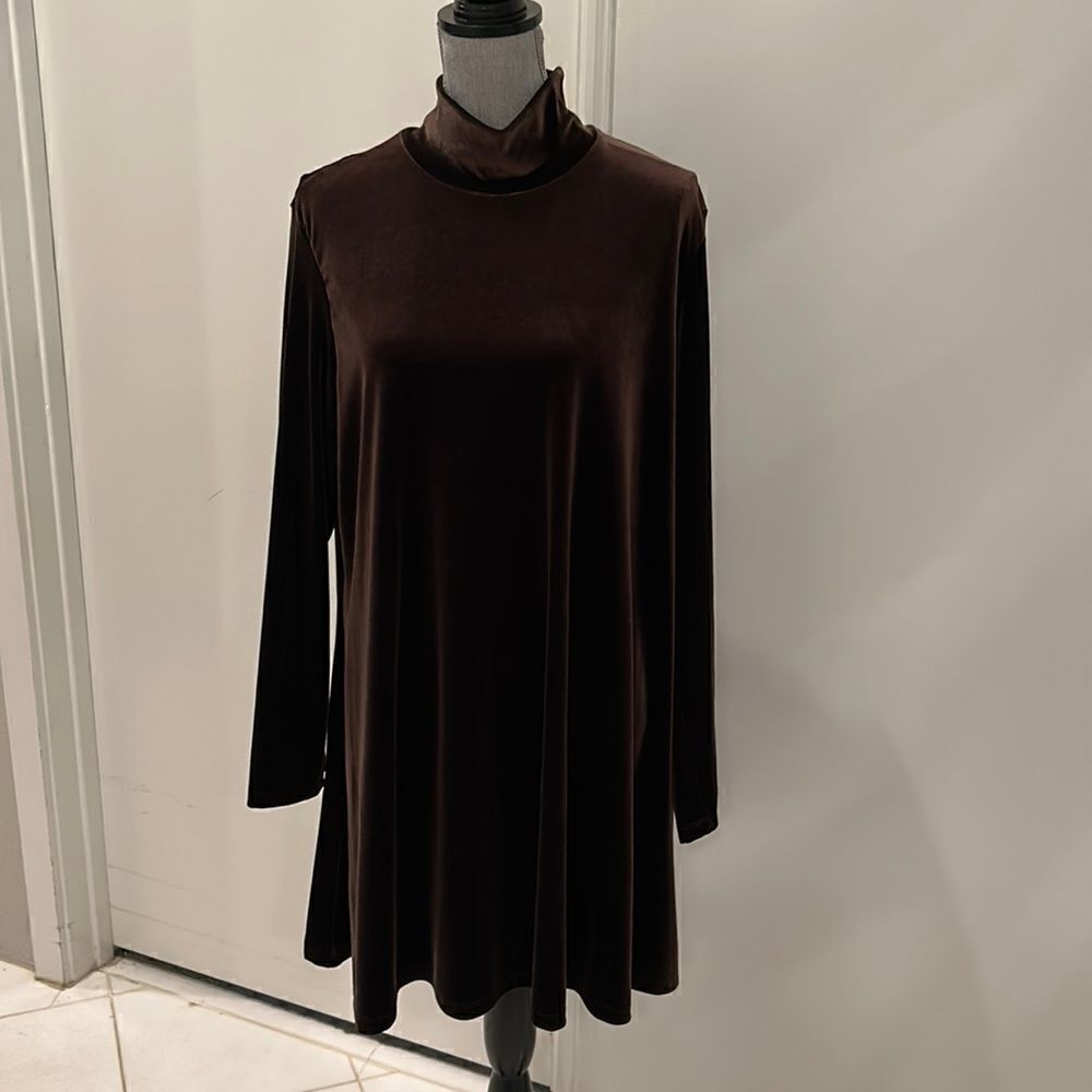 Ducci Brown Velveteen Dress